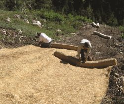 Erosion Control Blankets