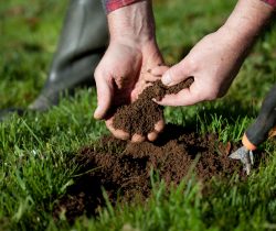 Biotic Soil Media