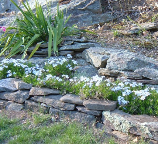 How to Place Rocks on a Slope to Stop Erosion 2