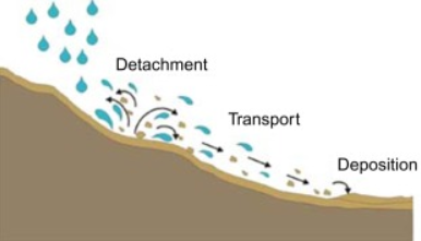 What is the Difference Between Rill and Gully Erosion 1