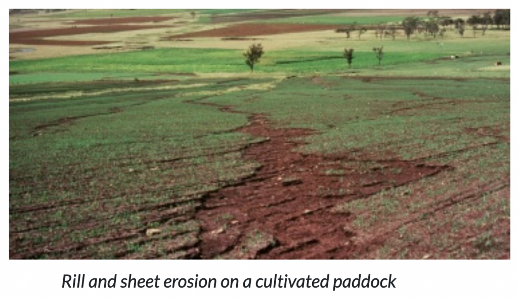 What is the Difference Between Rill and Gully Erosion 2