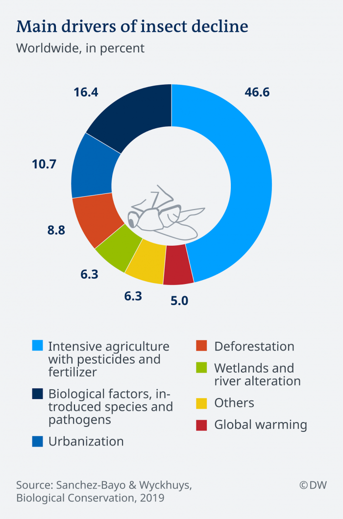 Main Drivers of Insect Decline